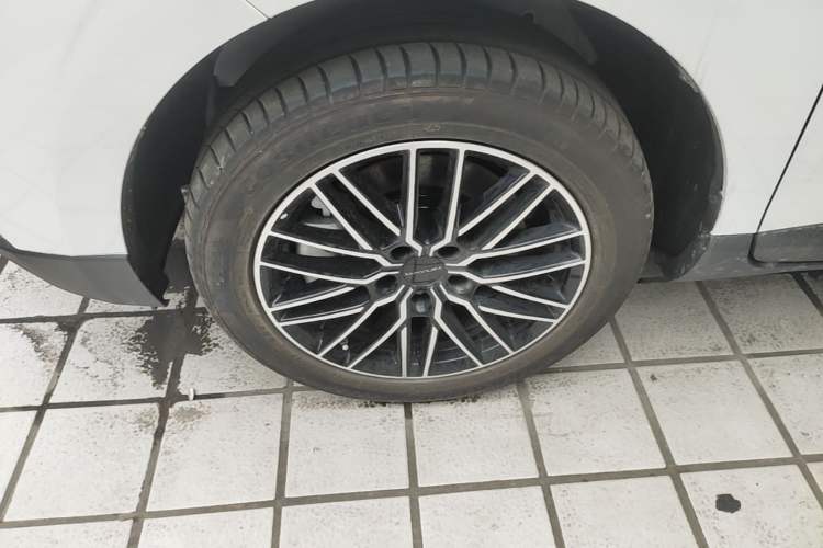 Used Dayun Yuanzhi M1 2025 7-Seater 490 Standard Edition Exterior 4