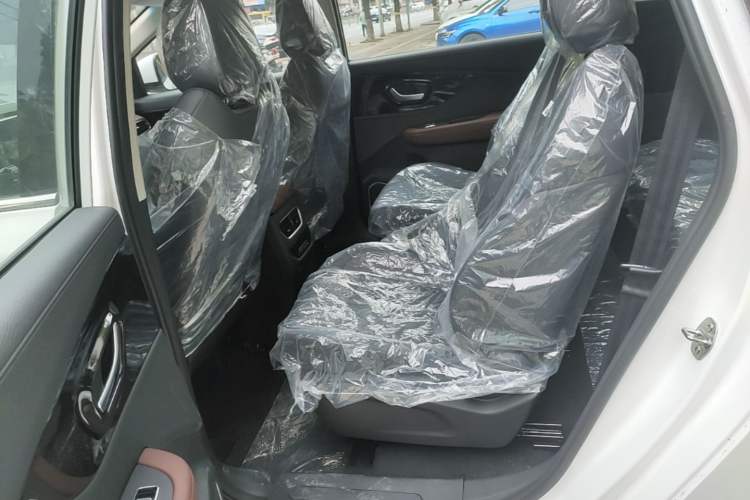 Used Dayun Yuanzhi M1 2025 7-Seater 490 Standard Edition Left Rear Seat