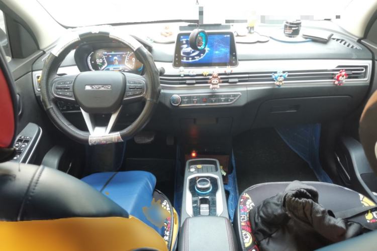 Used Dayun Yuehu 2021 32.85 kWh Two-Wheel-Drive Sprite Version Center Console