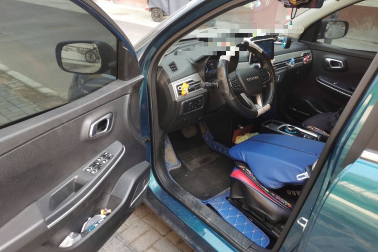 Used Dayun Yuehu 2021 32.85 kWh Two-Wheel-Drive Sprite Version Driver Seat