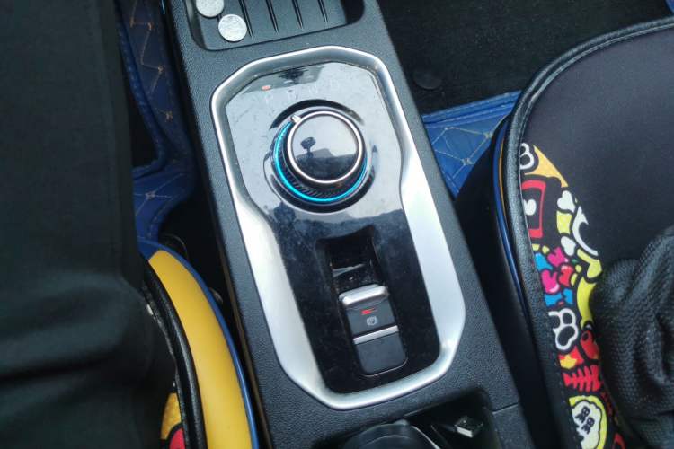 Used Dayun Yuehu 2021 32.85 kWh Two-Wheel-Drive Sprite Version Gear Lever