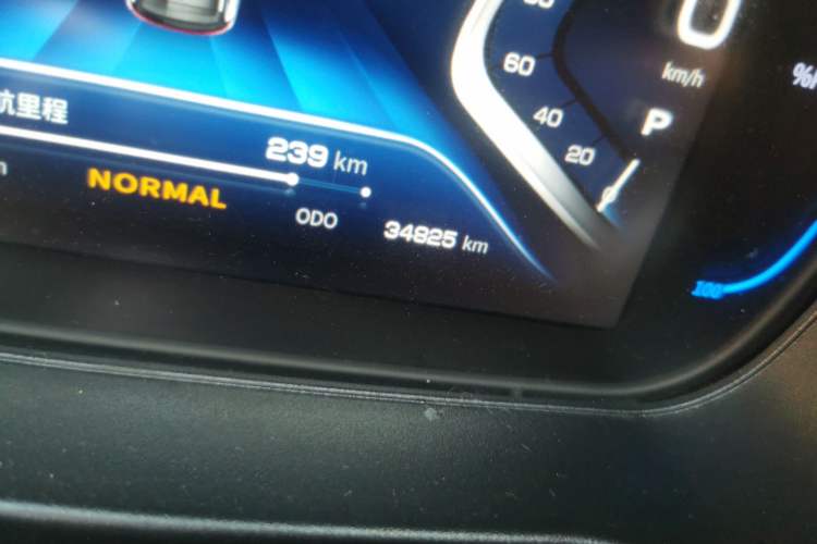 Used Dayun Yuehu 2021 32.85 kWh Two-Wheel-Drive Sprite Version Odometer Close Up