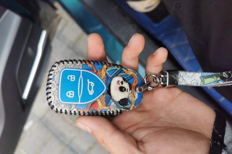 Used Dayun Yuehu 2021 32.85 kWh Two-Wheel-Drive Sprite Version Vehicle Key