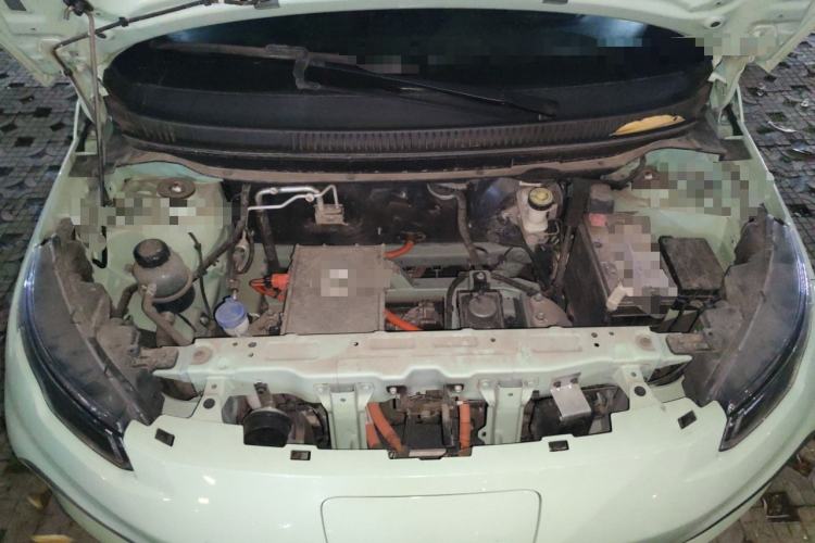 Used Dayun Yuehu 2022 300 Standard Edition Engine Bay