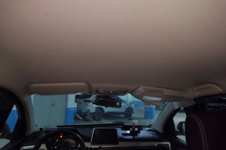 Used Dayun Yuehu 2022 300 Standard Edition Headliner