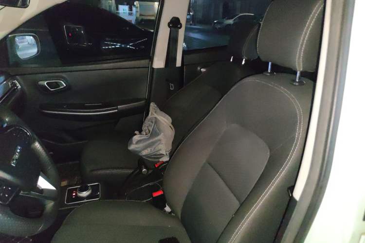 Used Dayun Yuehu 2022 300 Standard Edition Left Front Seat