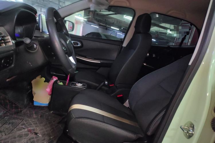 Used Dayun Yuehu 2022 300 Standard Edition Left Front Seat