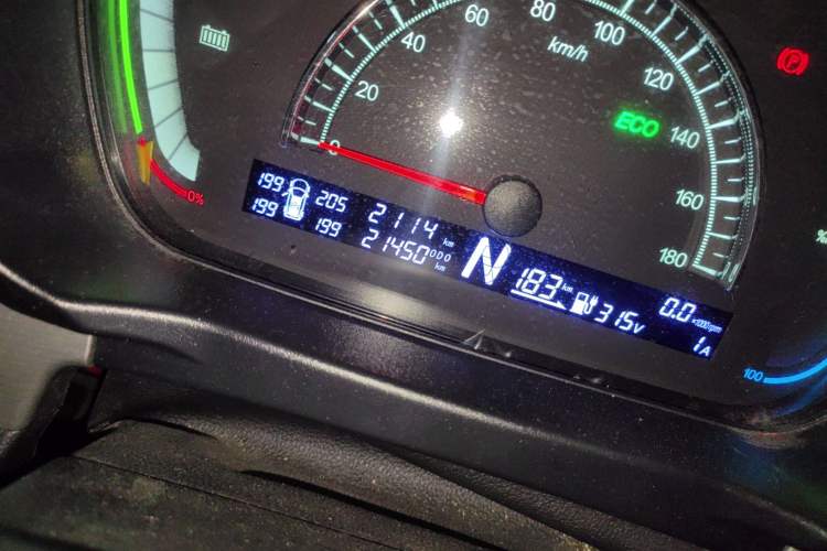 Used Dayun Yuehu 2022 300 Standard Edition Odometer Close Up