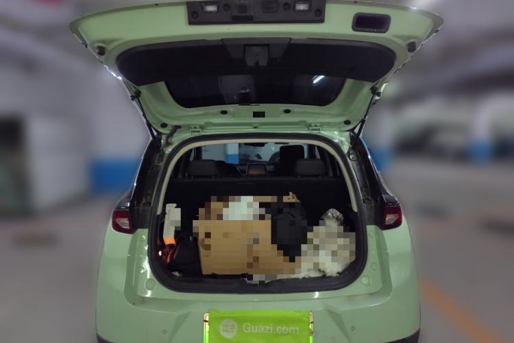 Used Dayun Yuehu 2022 300 Standard Edition Trunk