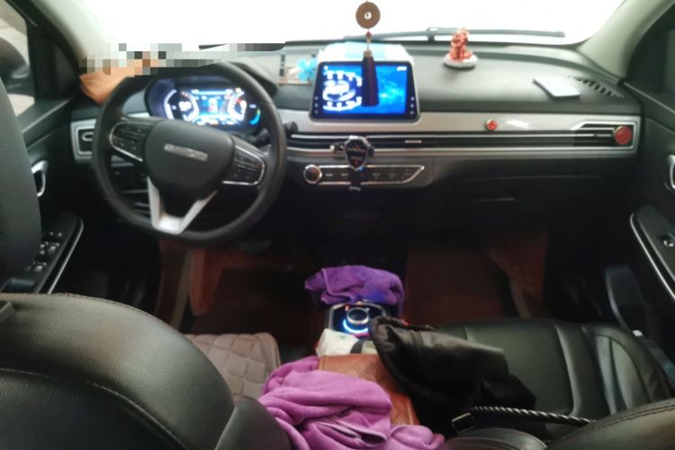 Used Dayun Yuehu 2021 32.85 kWh Two-Wheel-Drive Sprite Version Center Console
