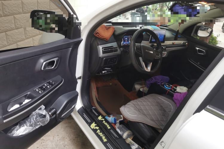 Used Dayun Yuehu 2021 32.85 kWh Two-Wheel-Drive Sprite Version Driver Seat