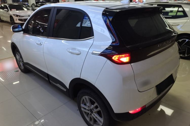 Used Dayun Yuehu 2022 300 Standard Edition Exterior 3
