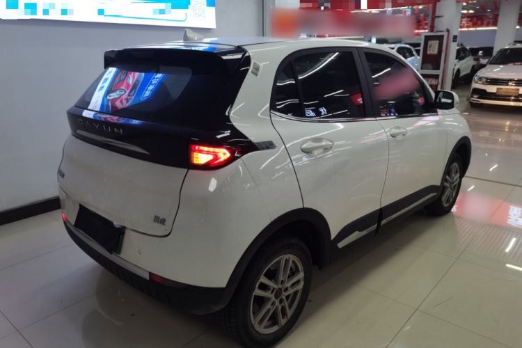 Used Dayun Yuehu 2022 300 Standard Edition Exterior 5