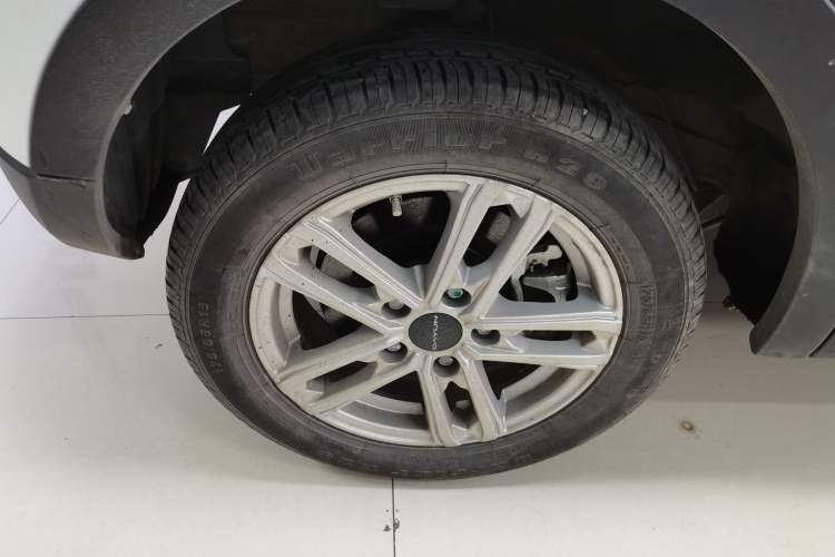 Used Dayun Yuehu 2022 300 Standard Edition Exterior 8