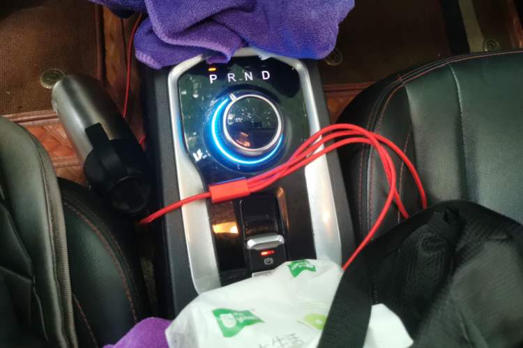 Used Dayun Yuehu 2021 32.85 kWh Two-Wheel-Drive Sprite Version Gear Lever