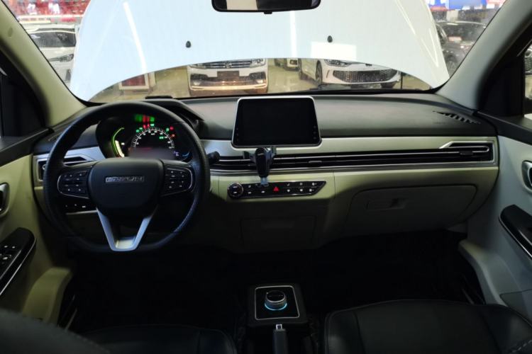Used Dayun Yuehu 2022 300 Standard Edition Interior 2