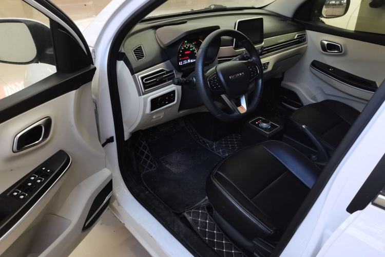 Used Dayun Yuehu 2022 300 Standard Edition Interior 3