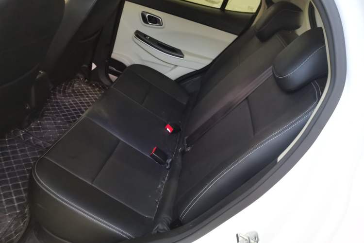 Used Dayun Yuehu 2022 300 Standard Edition Interior 4