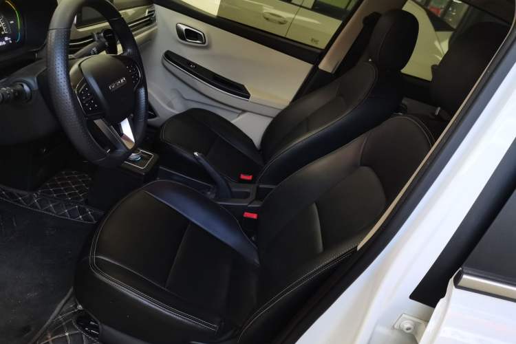Used Dayun Yuehu 2022 300 Standard Edition Left Front Seat