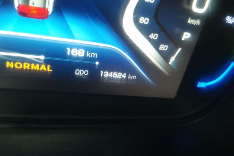 Used Dayun Yuehu 2021 32.85 kWh Two-Wheel-Drive Sprite Version Odometer Close Up
