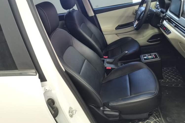 Used Dayun Yuehu 2022 300 Standard Edition Right Front Seat