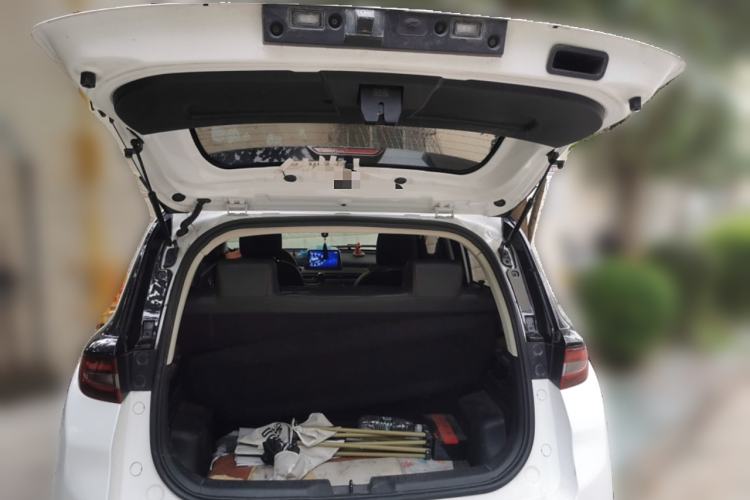 Used Dayun Yuehu 2021 32.85 kWh Two-Wheel-Drive Sprite Version Trunk