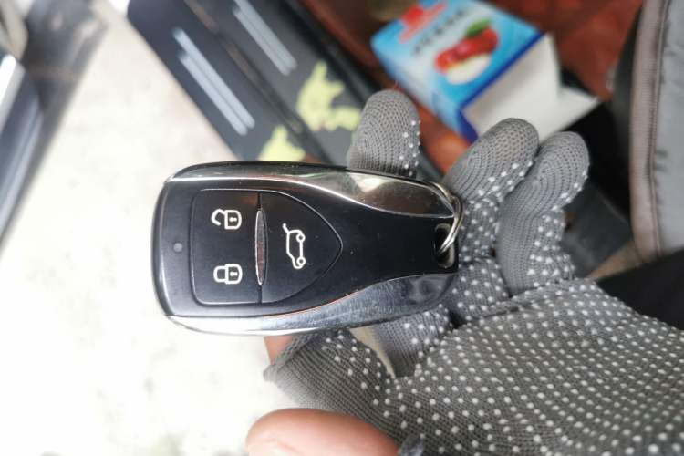 Used Dayun Yuehu 2021 32.85 kWh Two-Wheel-Drive Sprite Version Vehicle Key