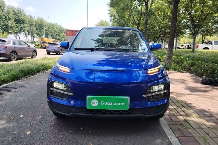 Used Dayun Yuehu 2021 32.85 kWh Two-Wheel-Drive Sprite Version Front