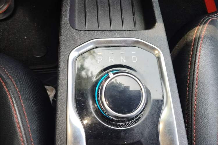 Used Dayun Yuehu 2021 32.85 kWh Two-Wheel-Drive Sprite Version Gear Lever