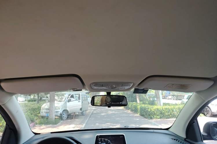 Used Dayun Yuehu 2021 32.85 kWh Two-Wheel-Drive Sprite Version Headliner