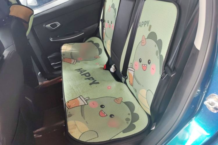 Used Dayun Yuehu 2021 Two-Wheel Drive Standard Version Interior 1