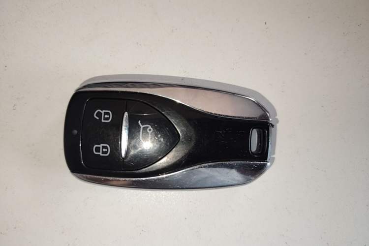 Used Dayun Yuehu 2021 32.85 kWh Two-Wheel-Drive Sprite Version Interior 1