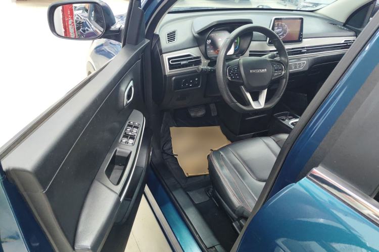 Used Dayun Yuehu 2021 32.85 kWh Two-Wheel-Drive Sprite Version Driver Seat