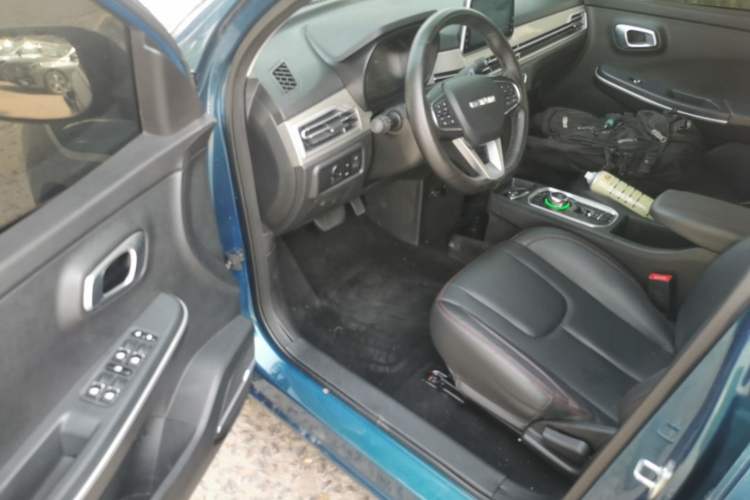 Used Dayun Yuehu 2021 32.85 kWh Two-Wheel-Drive Sprite Version Driver Seat