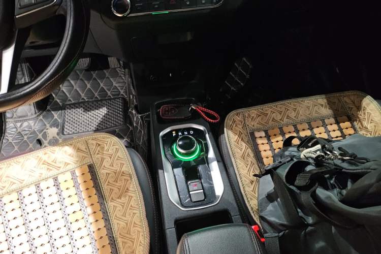 Used Dayun Yuehu 2021 32.85 kWh Two-Wheel-Drive Sprite Version Gear Lever
