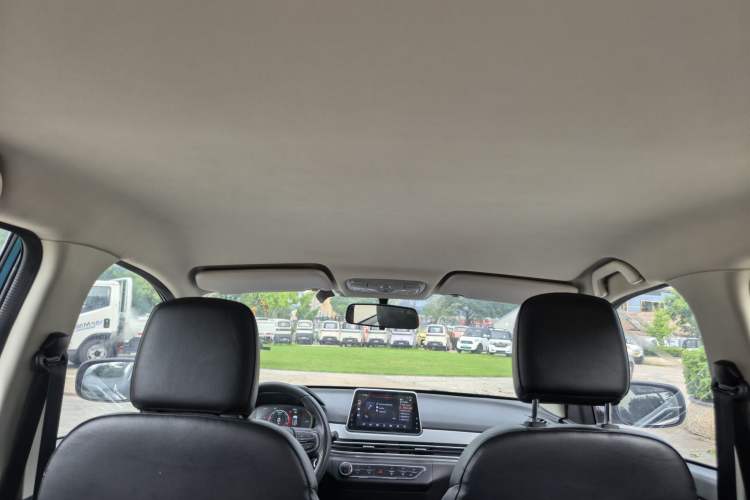 Used Dayun Yuehu 2021 32.85 kWh Two-Wheel-Drive Sprite Version Headliner