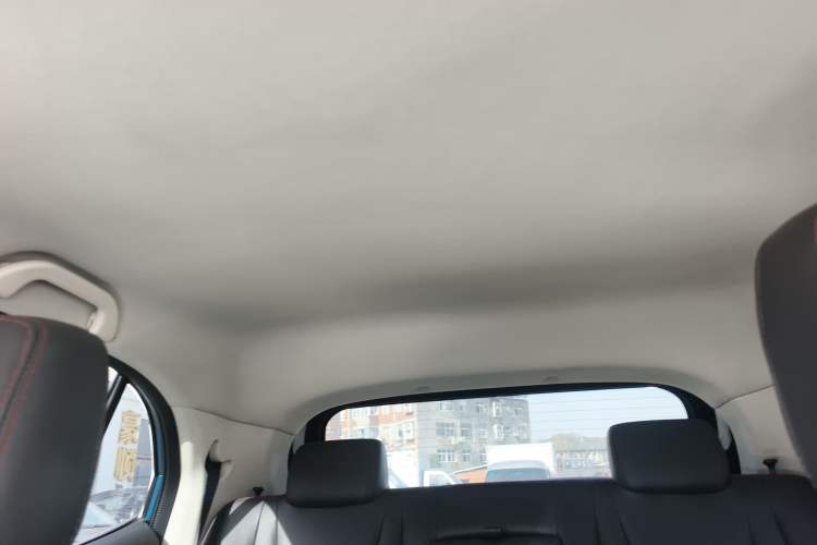 Used Dayun Yuehu 2021 32.85 kWh Two-Wheel-Drive Sprite Version Headliner