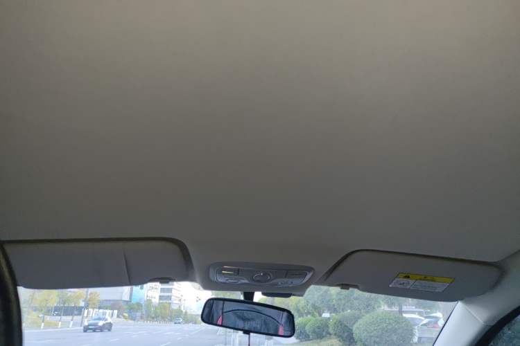 Used Dayun Yuehu 2021 32.85 kWh Two-Wheel-Drive Sprite Version Headliner