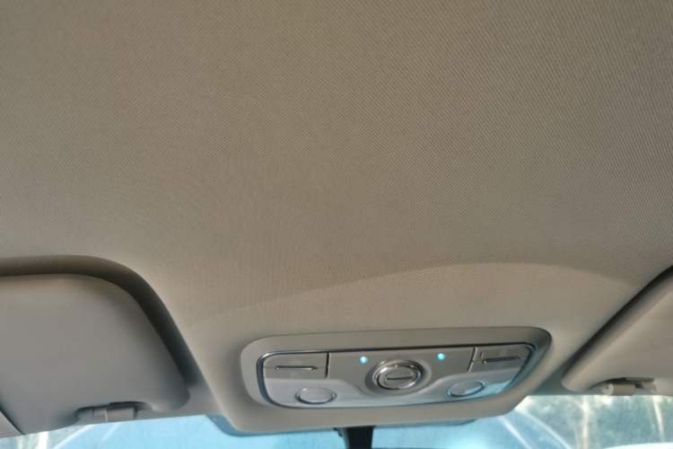 Used Dayun Yuehu 2021 32.85 kWh Two-Wheel-Drive Sprite Version Headliner