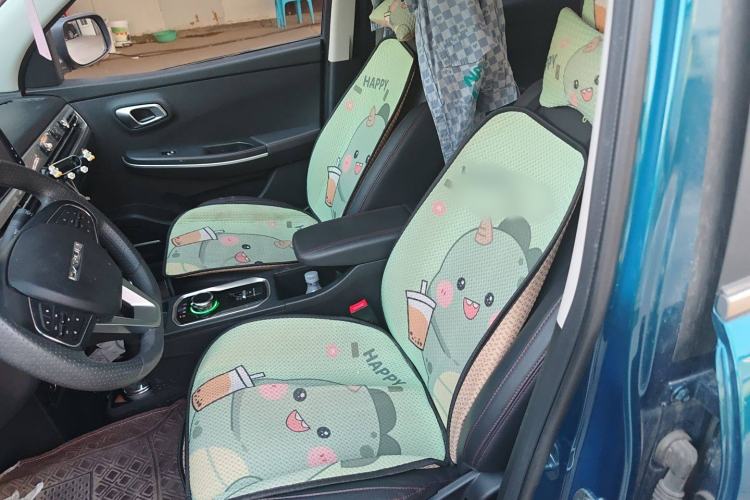 Used Dayun Yuehu 2021 Two-Wheel Drive Standard Version Interior 1