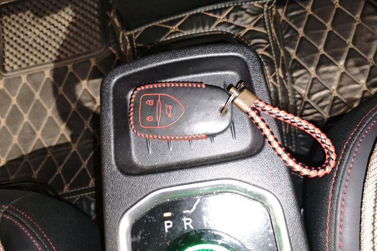 Used Dayun Yuehu 2021 32.85 kWh Two-Wheel-Drive Sprite Version Interior 1