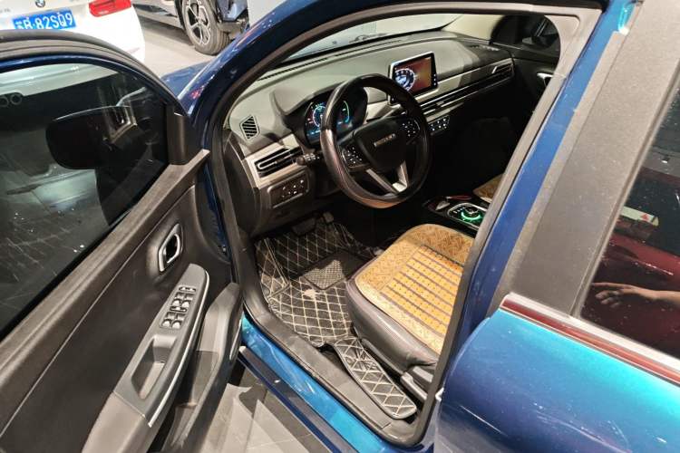 Used Dayun Yuehu 2021 32.85 kWh Two-Wheel-Drive Sprite Version Interior 3