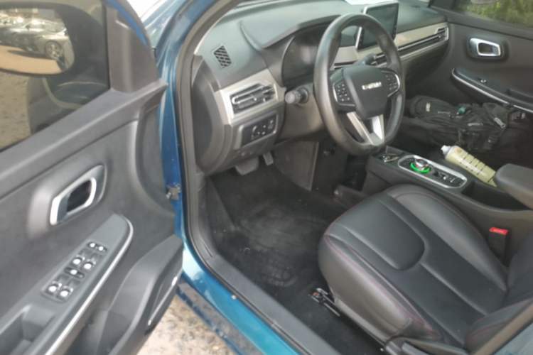 Used Dayun Yuehu 2021 32.85 kWh Two-Wheel-Drive Sprite Version Left Front Seat