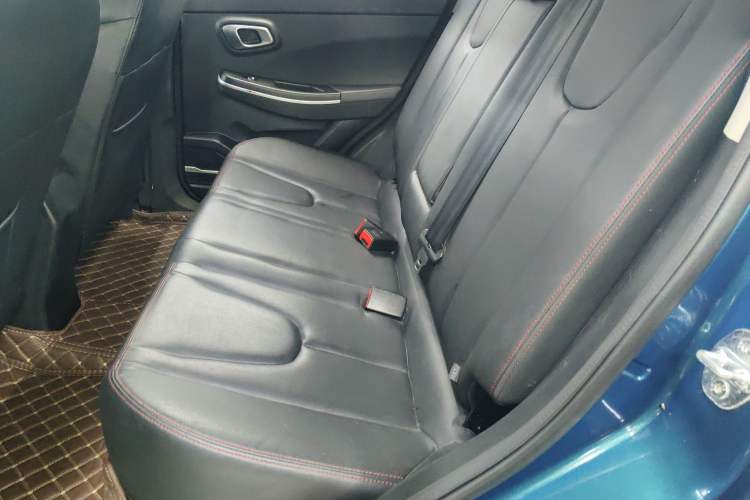 Used Dayun Yuehu 2021 32.85 kWh Two-Wheel-Drive Sprite Version Left Rear Seat