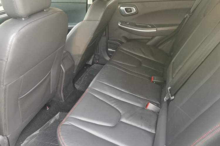 Used Dayun Yuehu 2021 32.85 kWh Two-Wheel-Drive Sprite Version Left Rear Seat