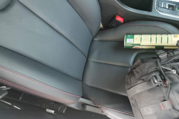 Used Dayun Yuehu 2021 32.85 kWh Two-Wheel-Drive Sprite Version Right Front Seat