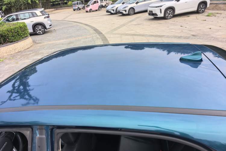 Used Dayun Yuehu 2021 32.85 kWh Two-Wheel-Drive Sprite Version Roof