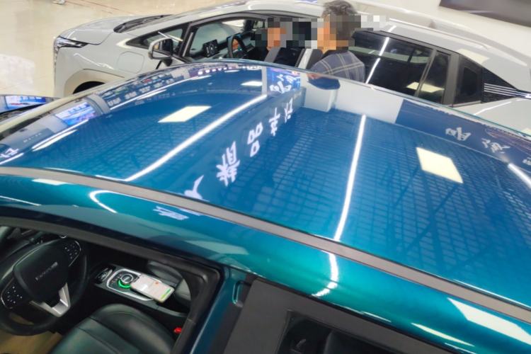 Used Dayun Yuehu 2021 32.85 kWh Two-Wheel-Drive Sprite Version Roof