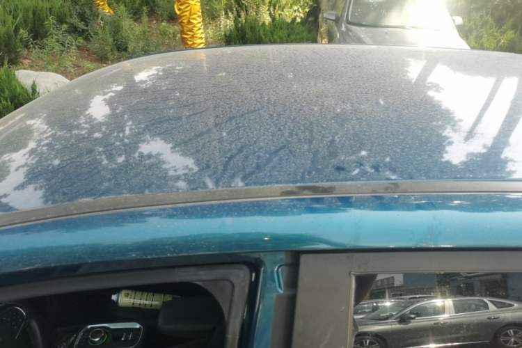 Used Dayun Yuehu 2021 32.85 kWh Two-Wheel-Drive Sprite Version Roof