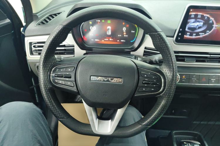 Used Dayun Yuehu 2021 32.85 kWh Two-Wheel-Drive Sprite Version Steering Wheel